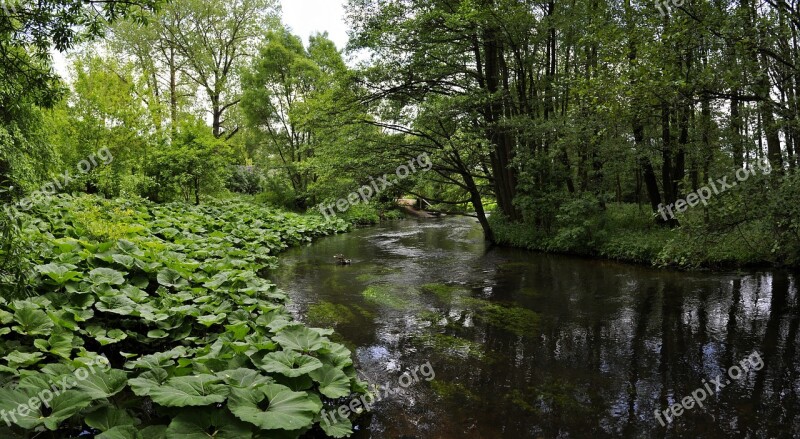 Nature Monolithic Part Of The Waters Landscape River Leaf