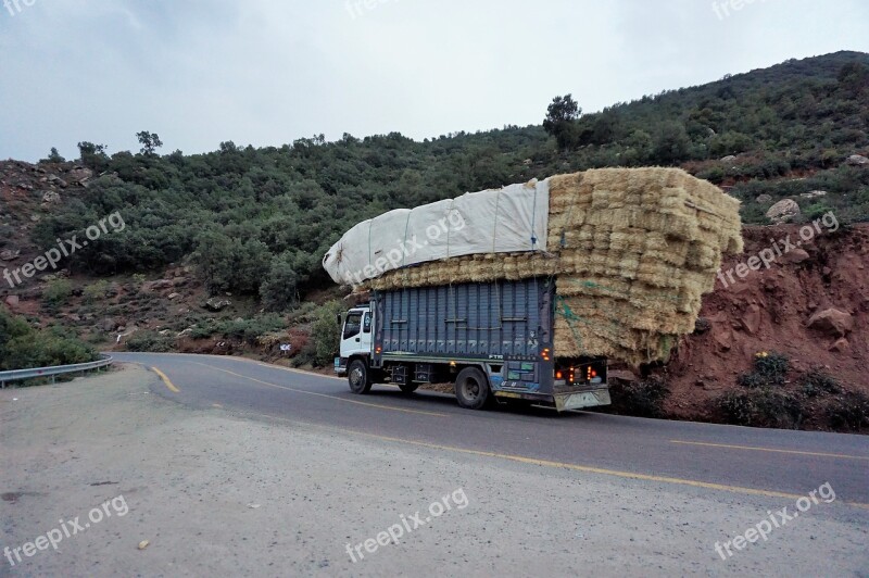 Trip Road Nature Horizontal Outdoors