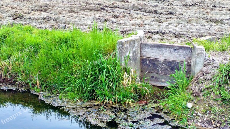 Nature Waters Summer Plant Dam