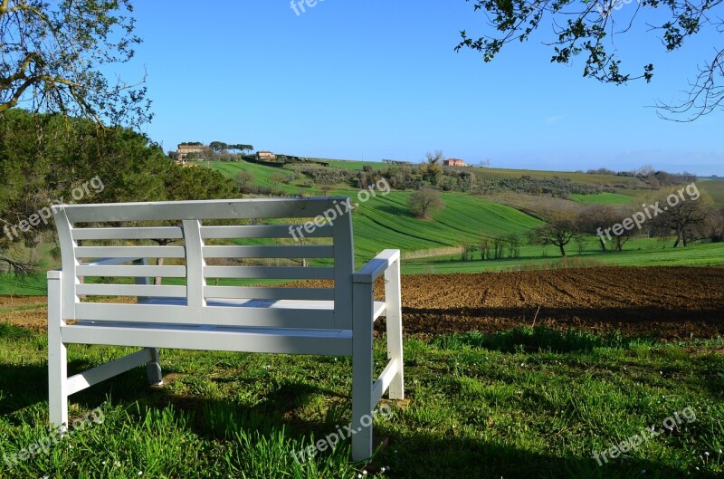 Nature Bench Spring Outdoors Landscape