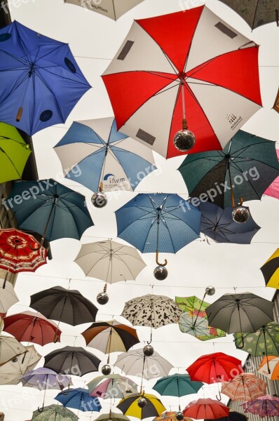 Umbrella Parasol Rainy Weather April Weather Screens