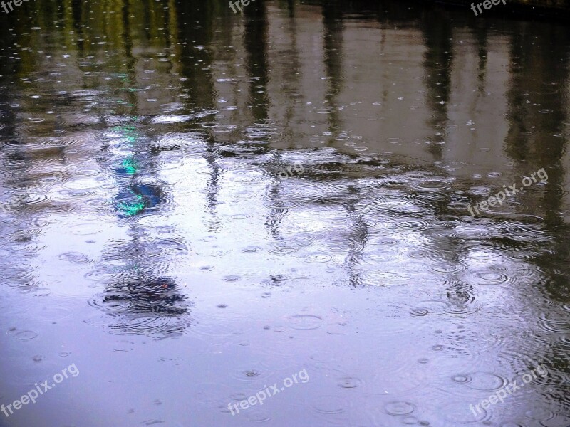 Reflection Waters Nature Puddle Rain