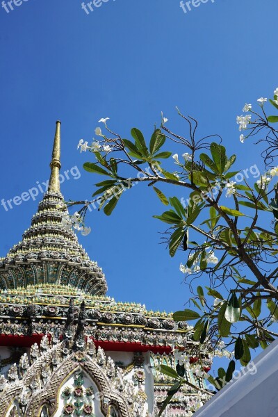 Sky Travel Architecture Tree Tourism