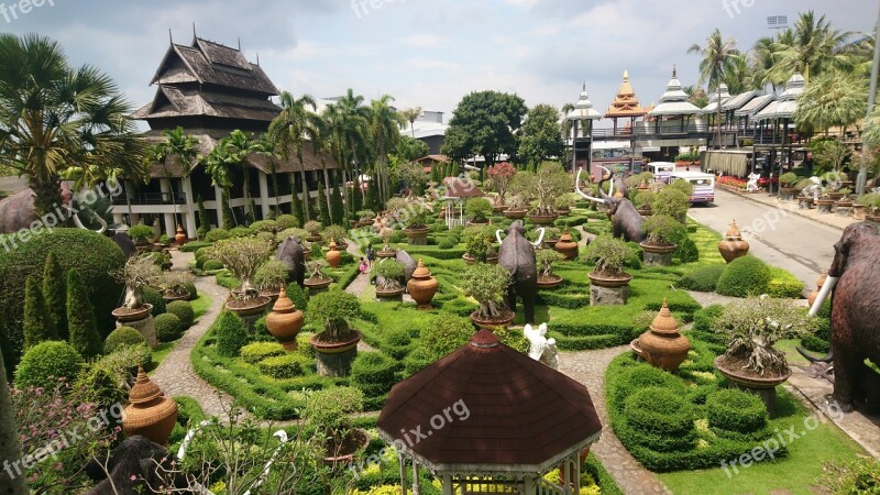 Garden Flora Flower Tree Travel