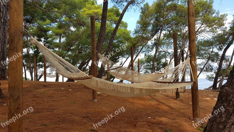 Wood Tree Nature Sky Travel