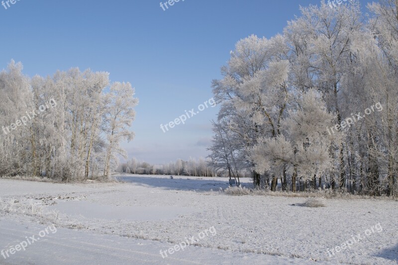 Winter Snow Leann Coldly Frozen