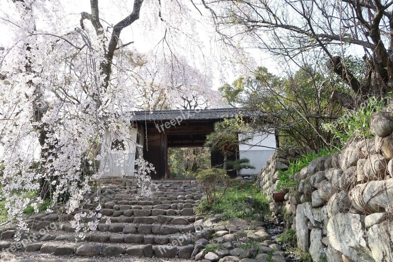 Natural Wood Outdoors Stone Building