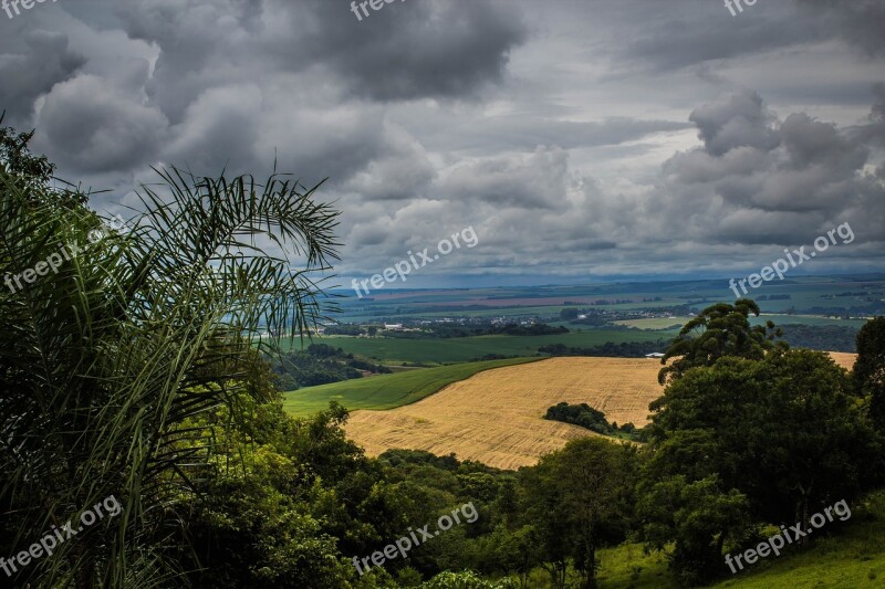 Nature Tree Widescreen Sky Free Photos