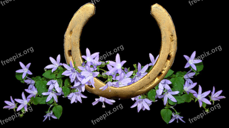 Horse Shoe Lucky Flowers Talisman Free Photos