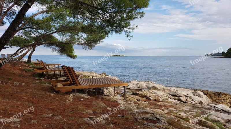 Sea Seashore Water Beach Nature