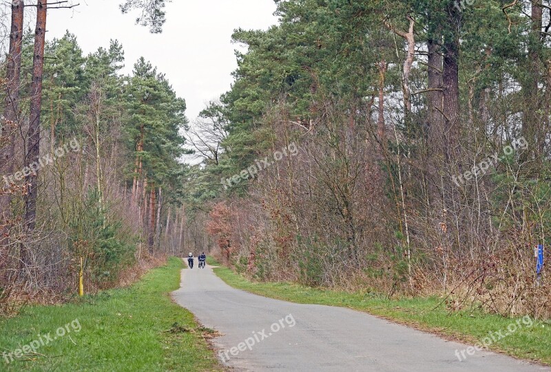 Bike Ride Pine Forest Early Spring Forest Path Dirt Track