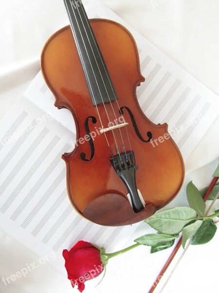 Classic Wood Tool Violin Bowed Stringed Instrument