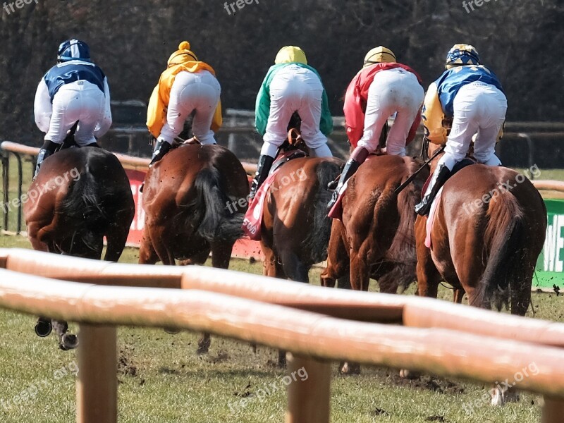 Human Horse Competition Race Jockey