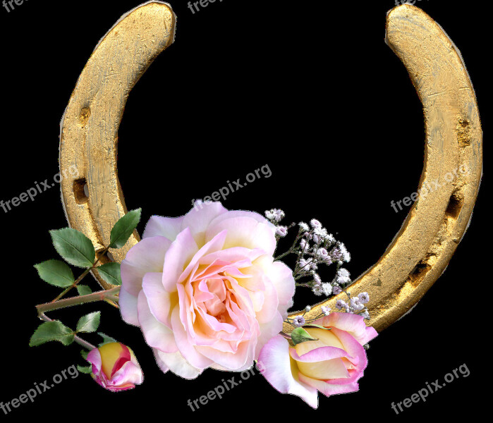 Horse Shoe Peace Rose Lucky Design Free Photos