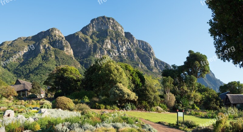 Kirstenbosch Botanical Gardens Mountain Landscape Nature Sky