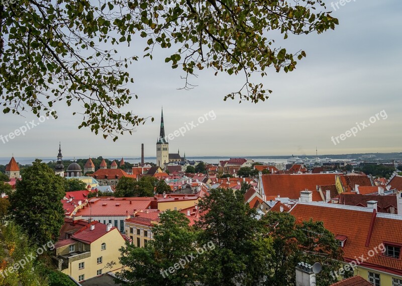 Architecture Megalopolis City Roof Free Photos