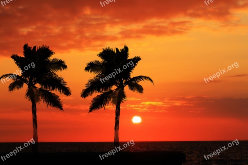 Beach Sunset Sun Tropicale Free Photos