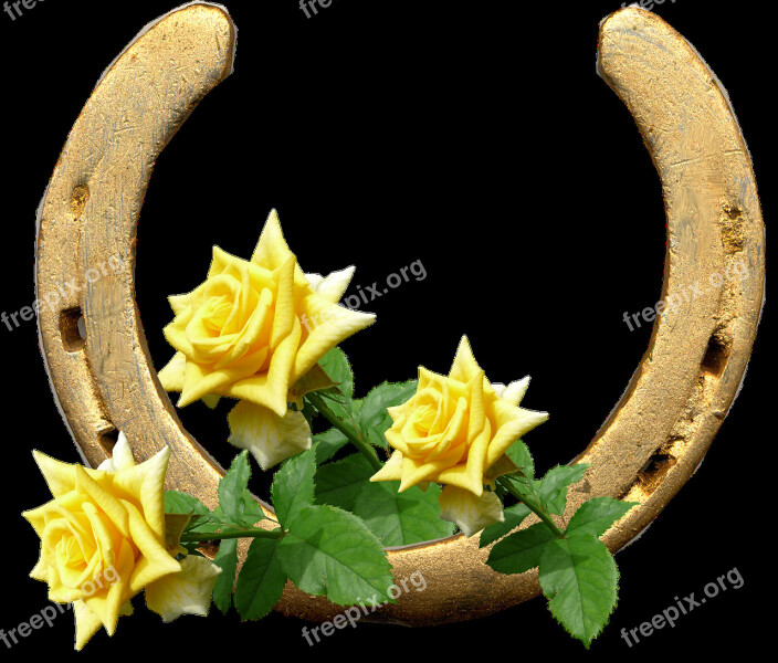 Horse Shoe Yellow Roses Lucky Arrangement Free Photos