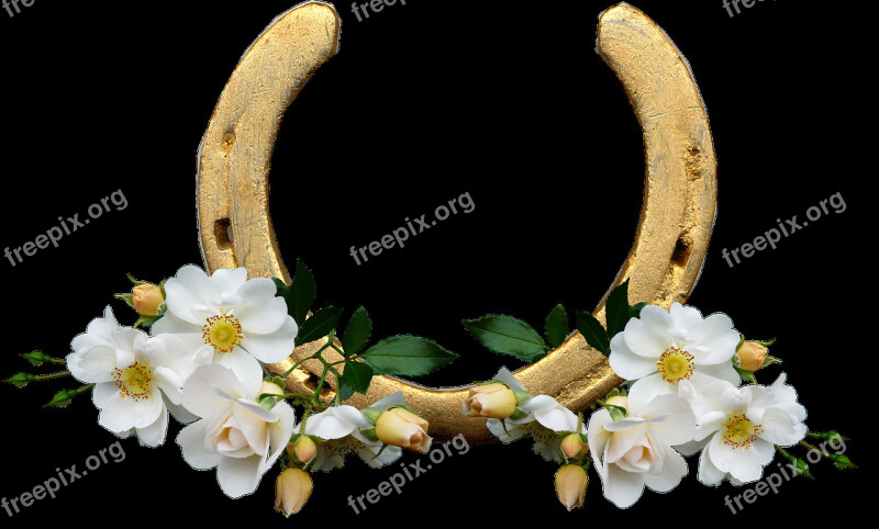 Horse Shoe White Roses Lucky Wedding Free Photos