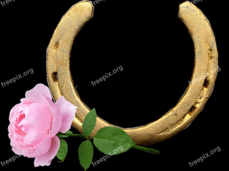 Horse Shoe Pink Rose Lucky Good Wishes Free Photos