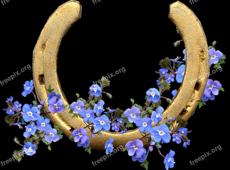 Horse Shoe Blue Flowers Lucky Wishes Free Photos