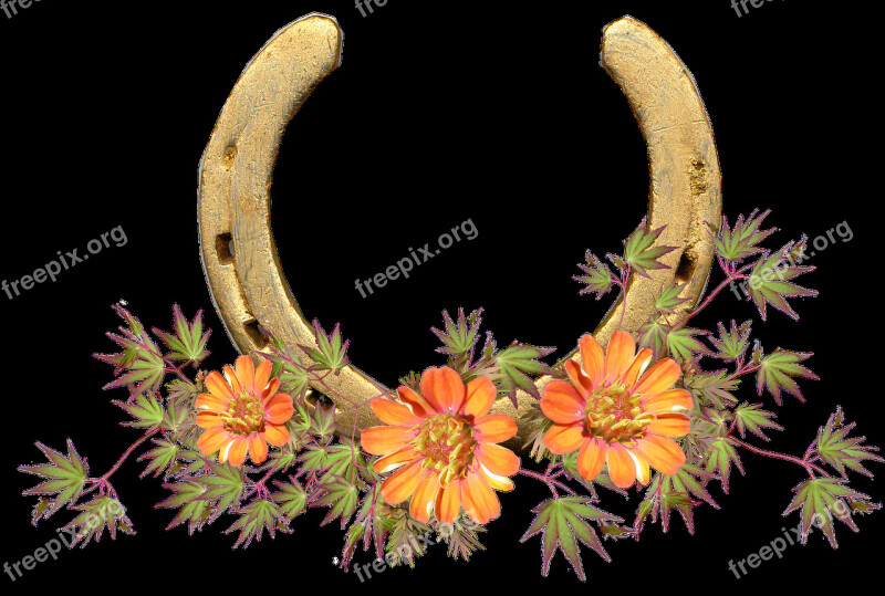 Horse Shoe Flowers Lucky Symbol Free Photos