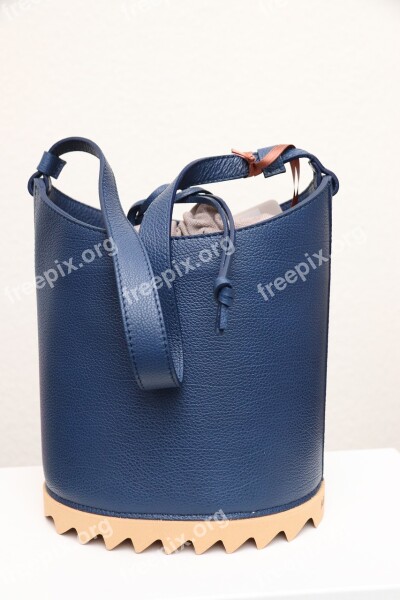 Handle Bag Isolated Leather Container