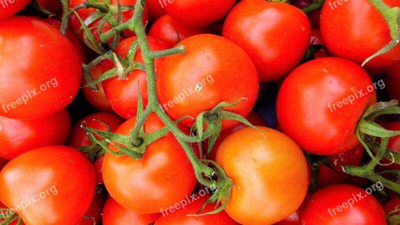 Food Tomato In Good Health Fruit Vegetable