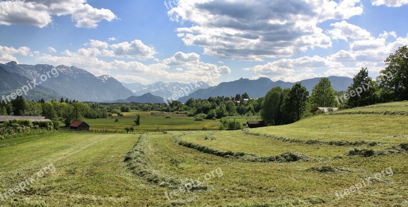 Nature Panorama Landscape Grass Sky