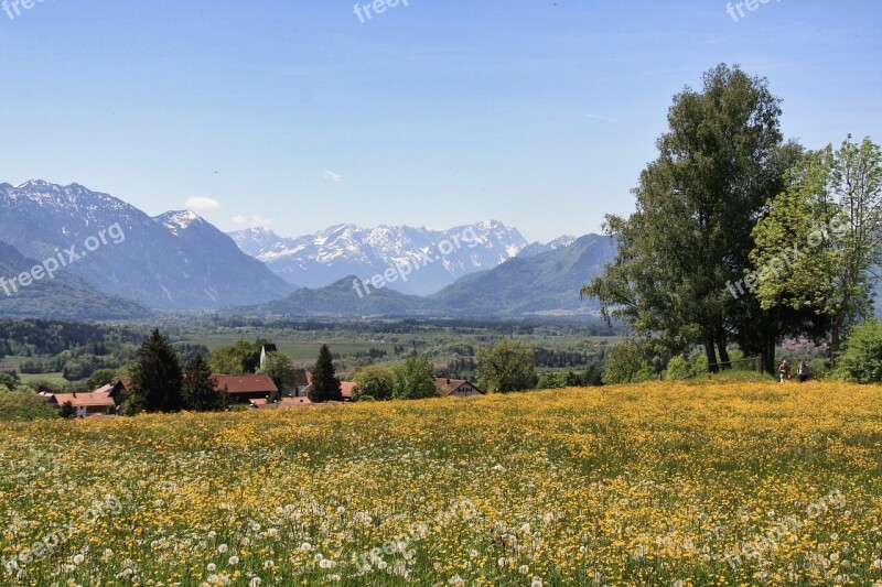 Landscape Nature Tree Sky Mountain