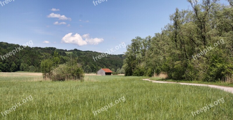 Nature Grass Landscape Tree Summer