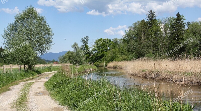 Nature Landscape Tree Grass Waters