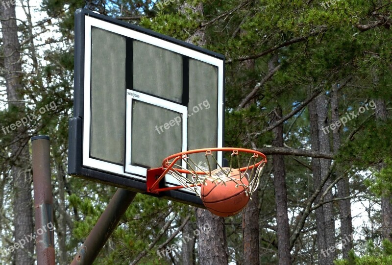 Basketball Basketball Net Sports Outdoors Sport