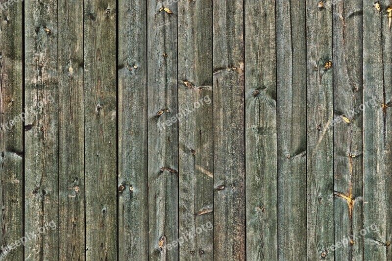 Wood Boards Branches Spruce Spruce Wood