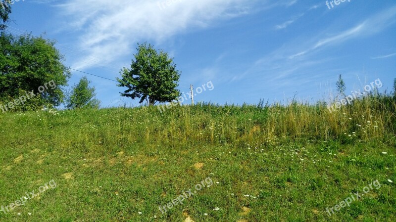 Nature Panoramic Grass Landscape Hayfield