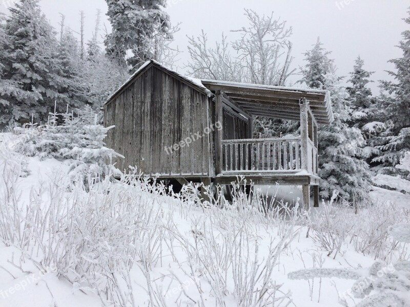 Snow Winter Wood Cold Frost