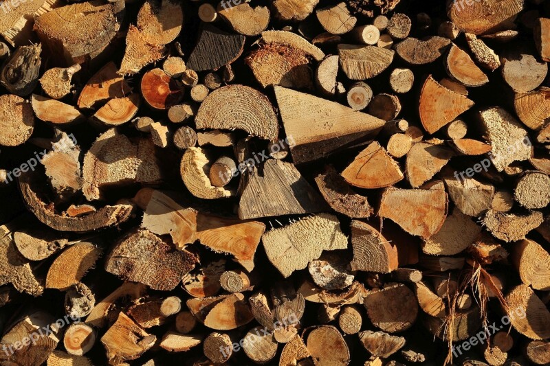 Growing Stock Wood Holzstapel Nature Saw