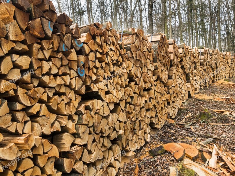 Wood Firewood Holzstapel Stacked Up Growing Stock