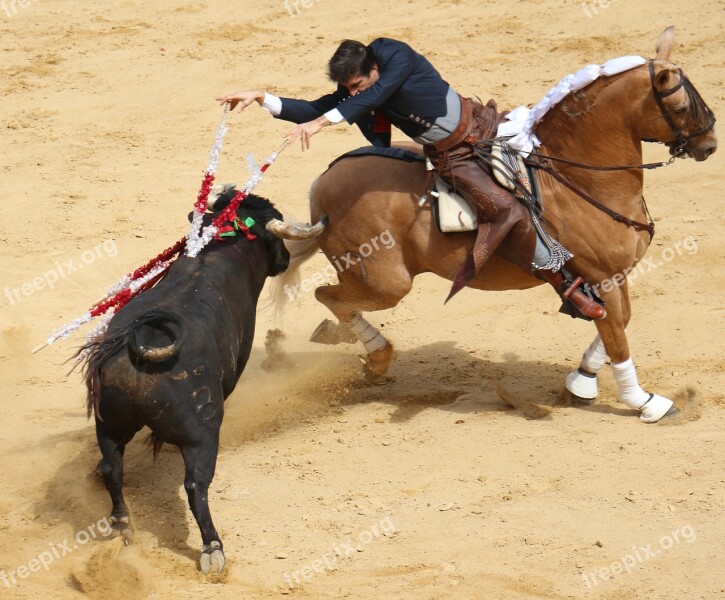 Bullring Horse Torero Rejoneador Plaza De Toros De Valencia