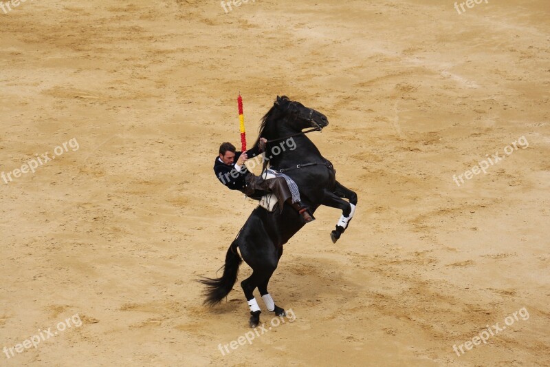 Rejoneador All Square Plaza De Toros De Valencia Bullfight Free Photos