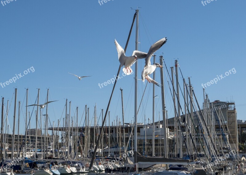 Wind Sky Water Blue Blue Sky