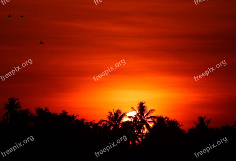 Sunset Dawn Dusk Evening Silhouette