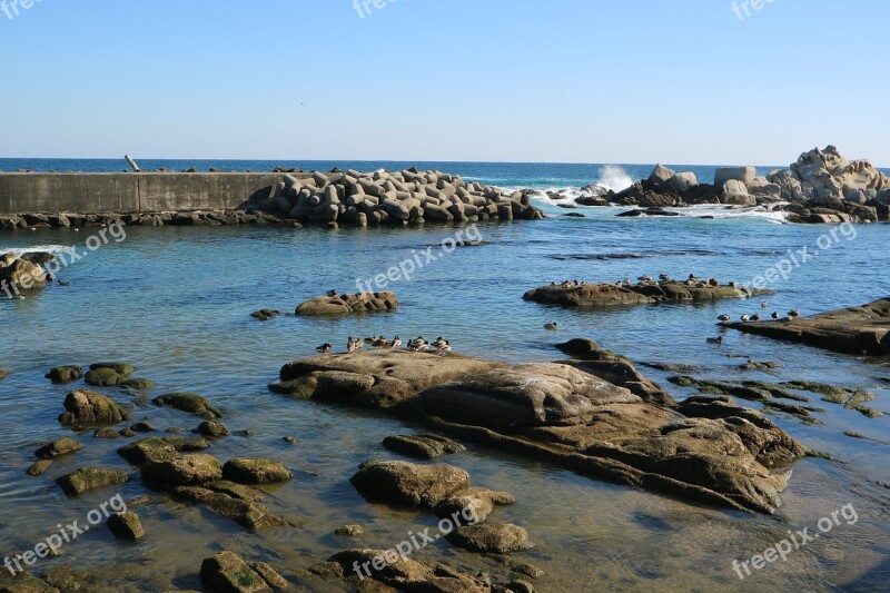 The Body Of Water Coast Sea Beach Free Photos