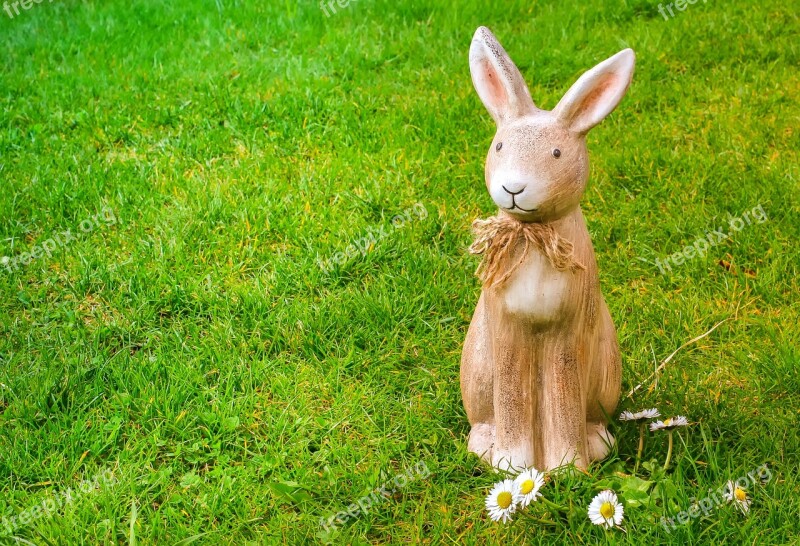 Easter Bunny Easter Rabbit Ears Bunny Grass