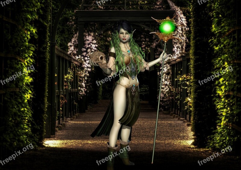 Woman Adult Elf Magic Female