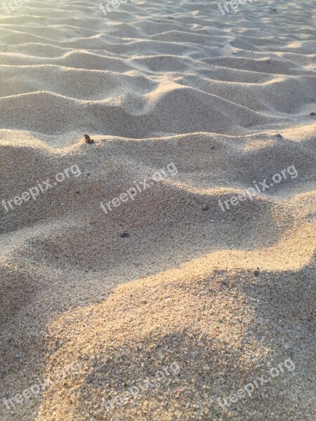 Sand Beach Seashore Sandy Desert