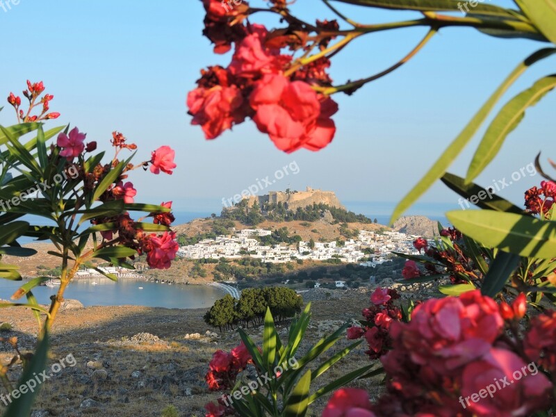 Rhodes Lindos Car Flower Nature