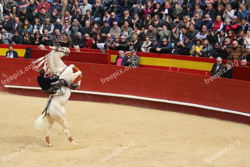 Torero Bullring Rejoneador Free Photos