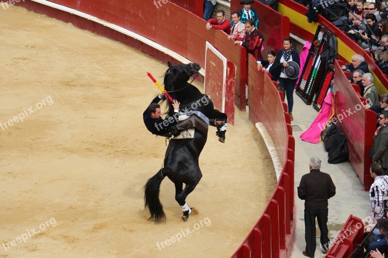 Bullring Torero Free Photos