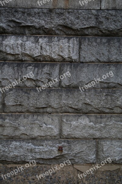 Stone Rough Wall Pattern Grey